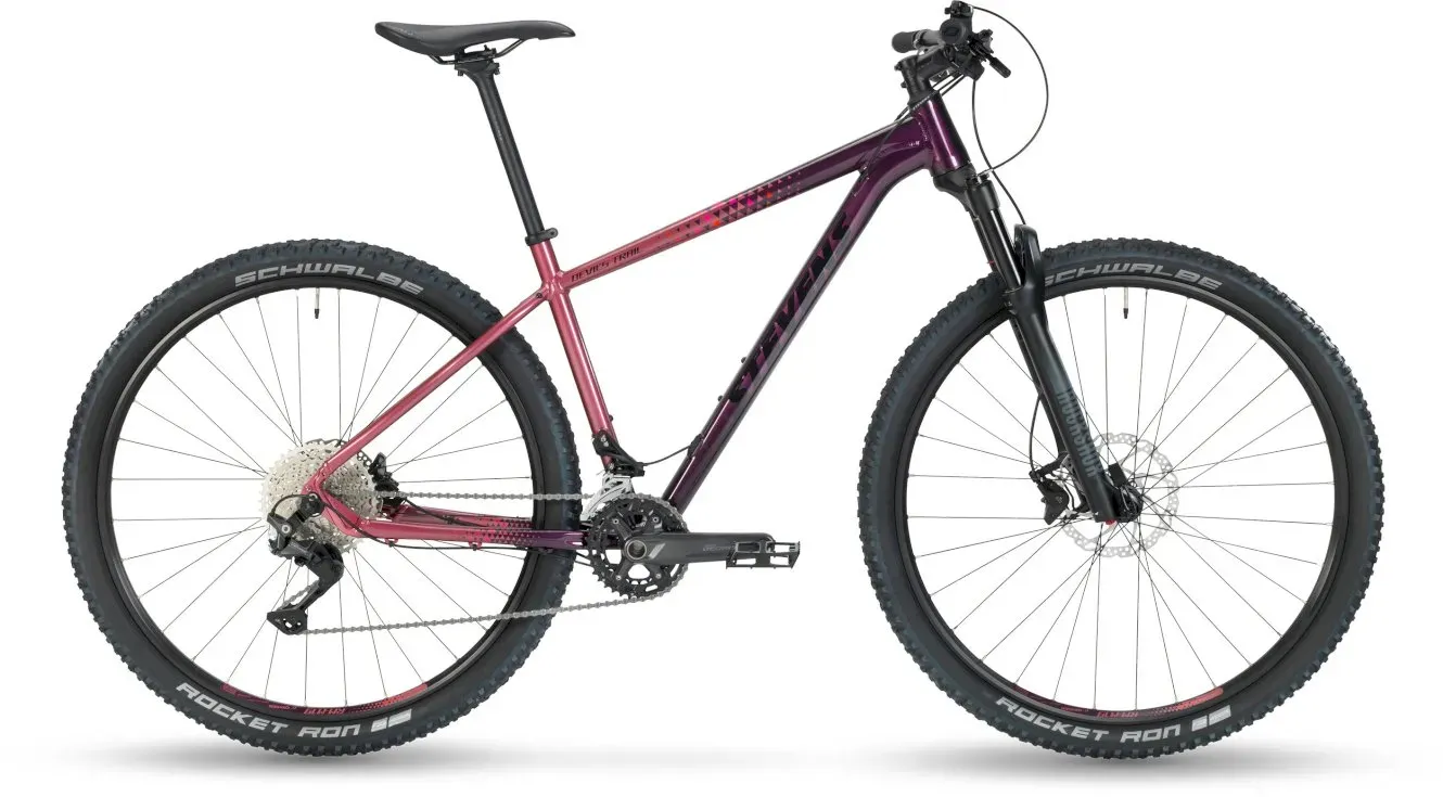 Trail Bike Stevens Devil´s Trail 29" 2022 | 29 Zoll | Diamant (Bild 2)